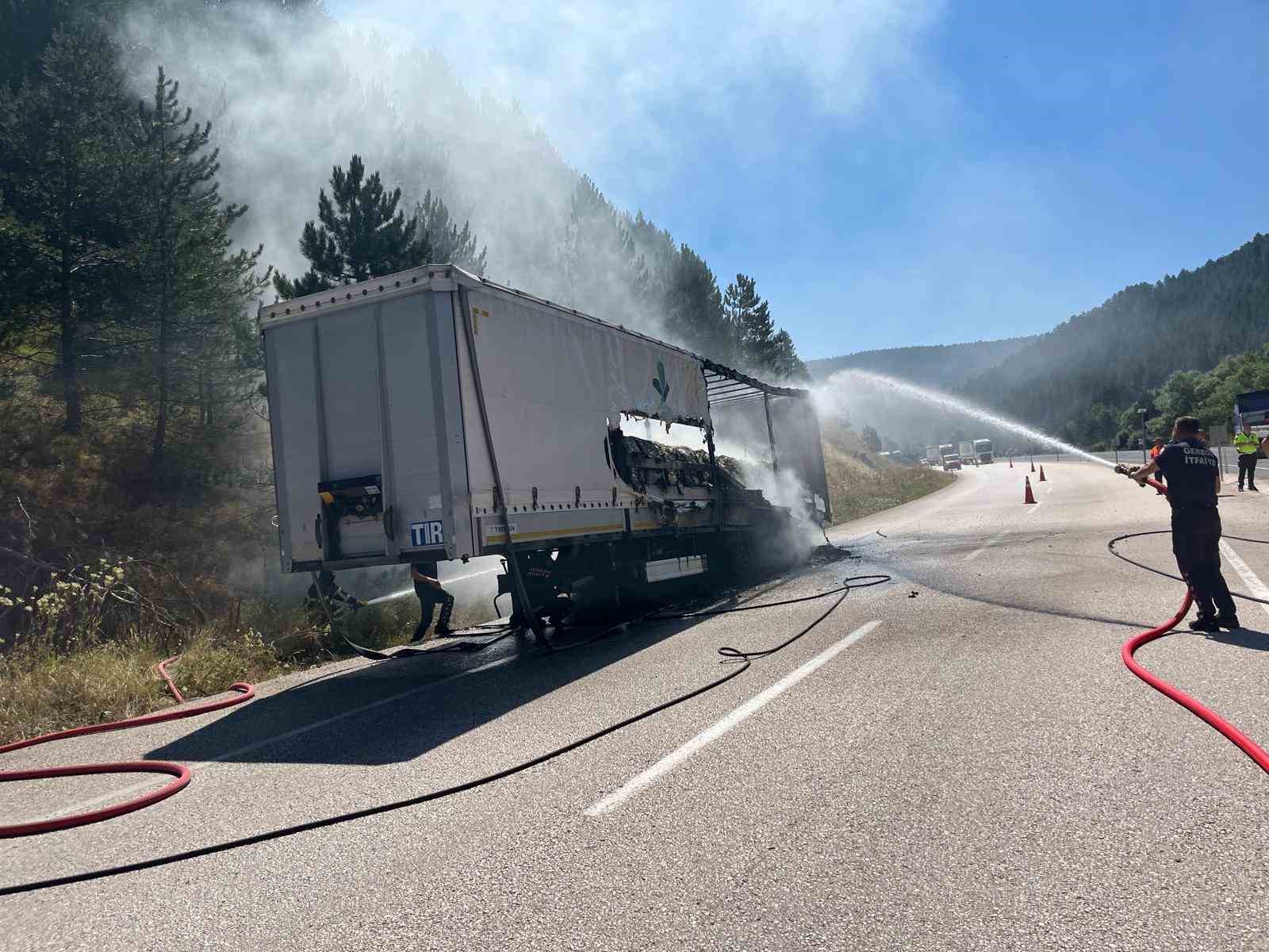 boluda-seker-yuklu-tir-alev-aldi-yangin-ormana-sicradi