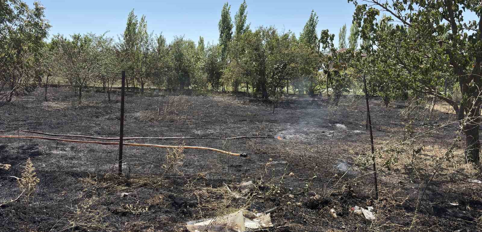 corumda-otluk-alanda-cikan-yanginda-1-kopek-yaralandi