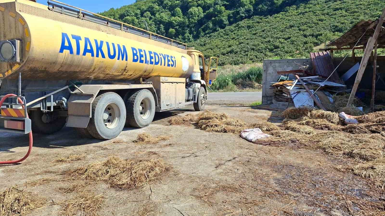 samsunda-yangin-53-buyukbas-hayvan-telef-oldu
