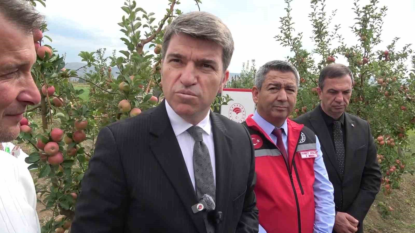 amasyanin-2-bin-yildir-tadi-degismeyen-lezzeti-misket-elma