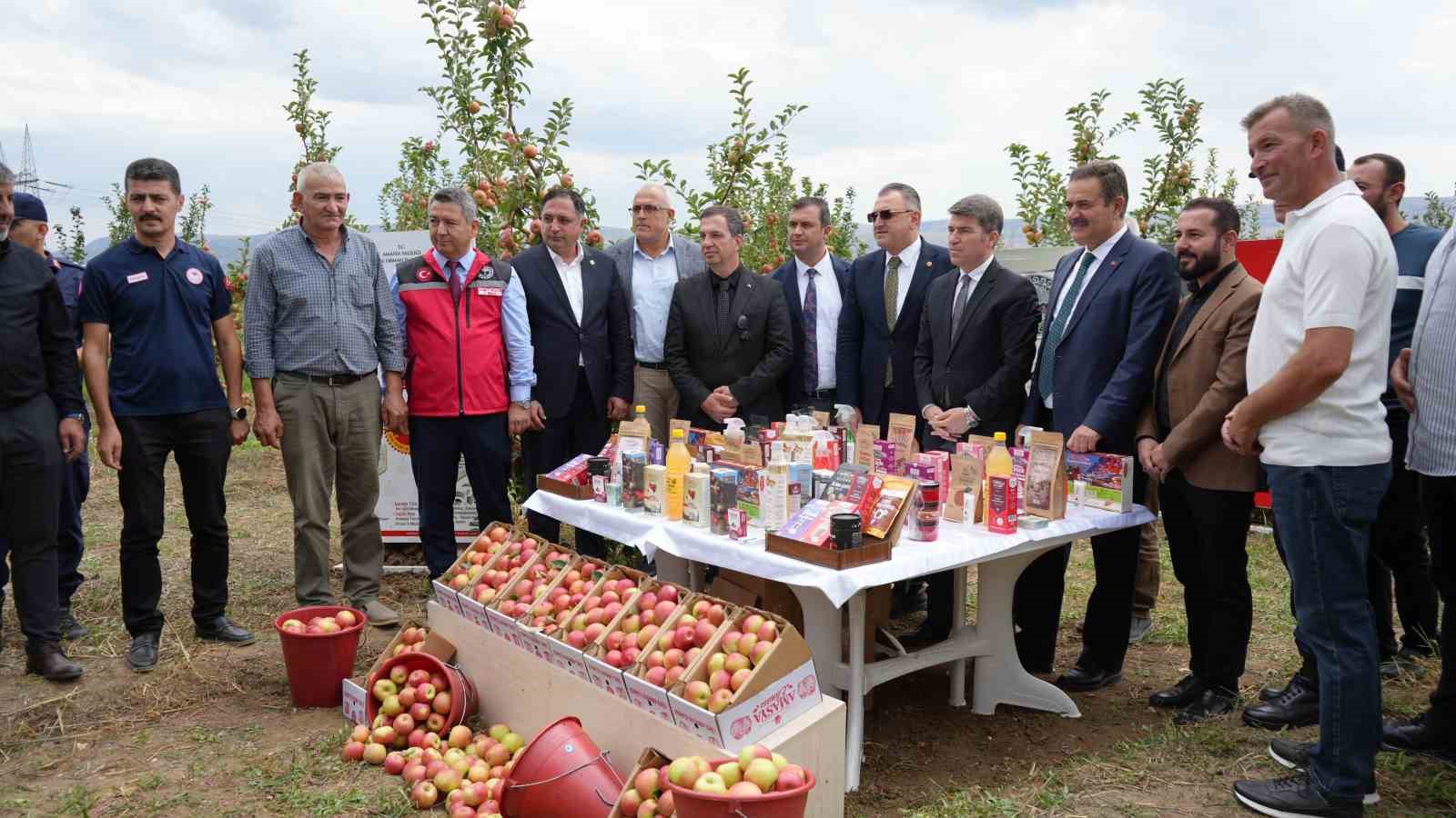 amasyanin-2-bin-yildir-tadi-degismeyen-lezzeti-misket-elma