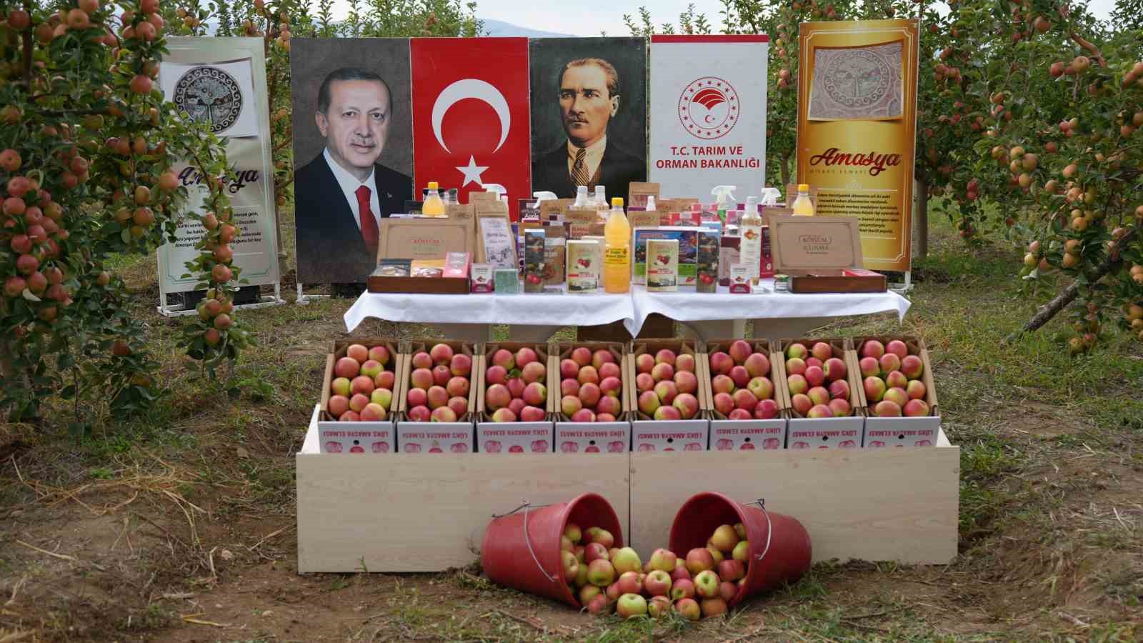 amasyanin-2-bin-yildir-tadi-degismeyen-lezzeti-misket-elma