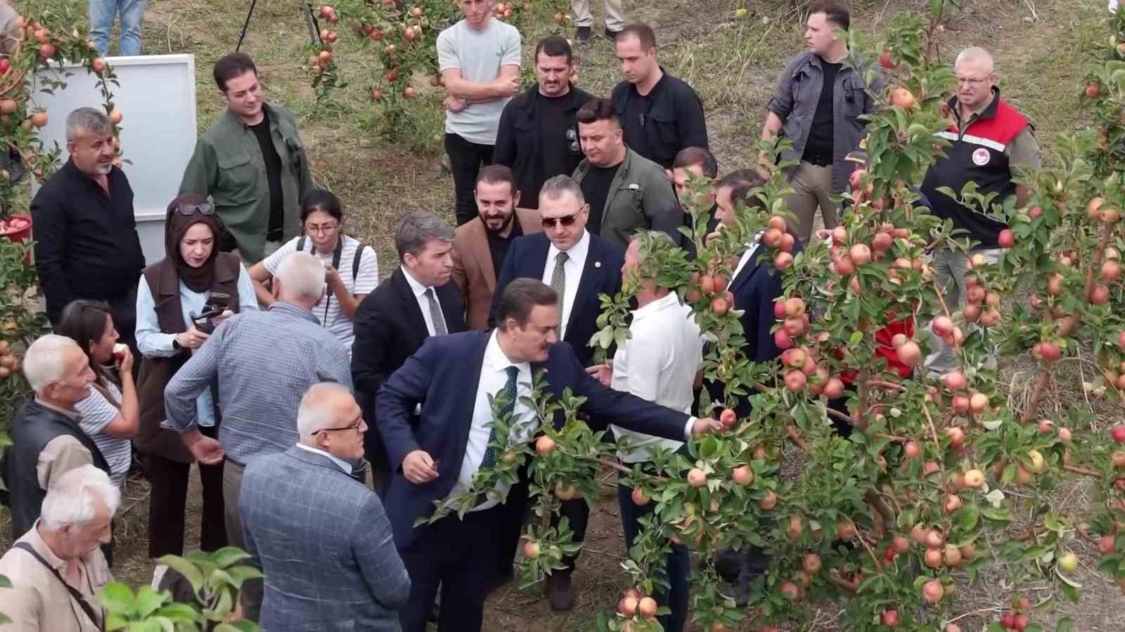 amasyanin-2-bin-yildir-tadi-degismeyen-lezzeti-misket-elma