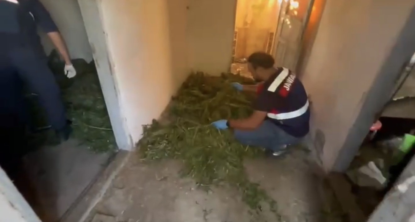 bafrada-63-kilo-kubar-esrar-ele-gecirildi