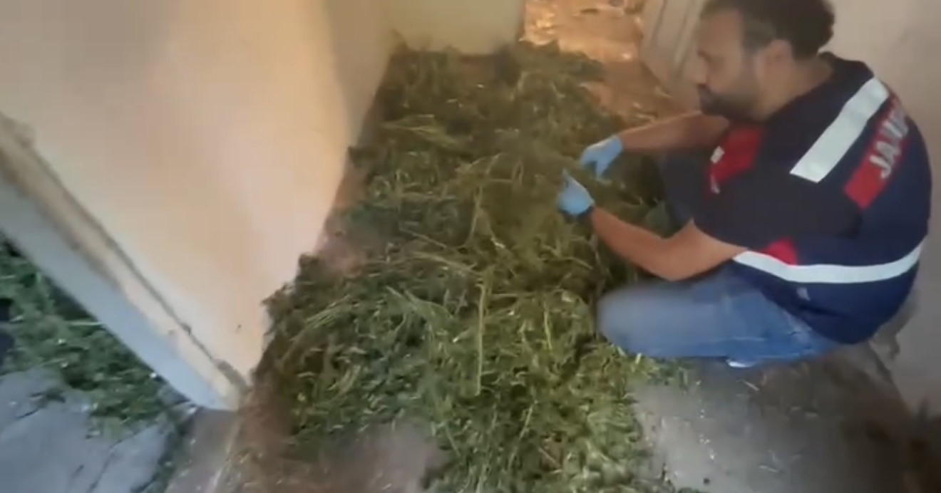 bafrada-63-kilo-kubar-esrar-ele-gecirildi