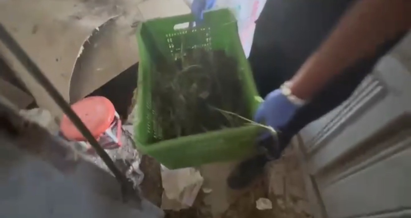 bafrada-63-kilo-kubar-esrar-ele-gecirildi