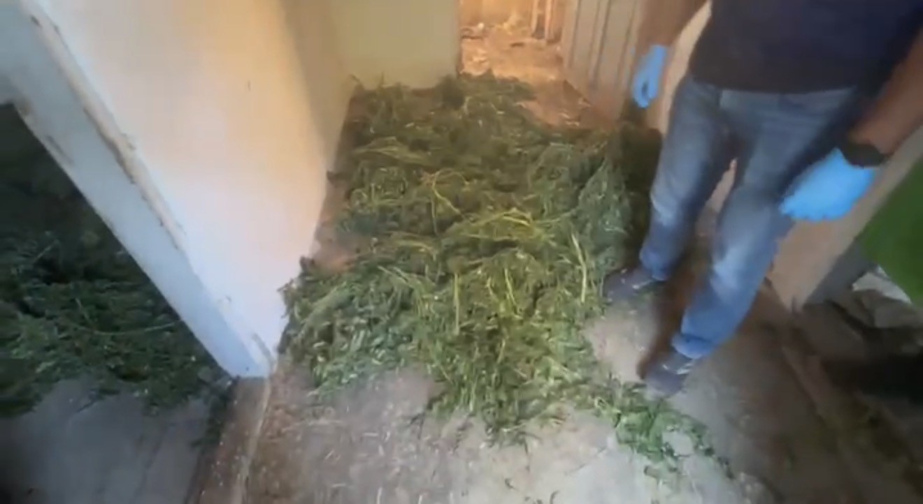 bafrada-63-kilo-kubar-esrar-ele-gecirildi