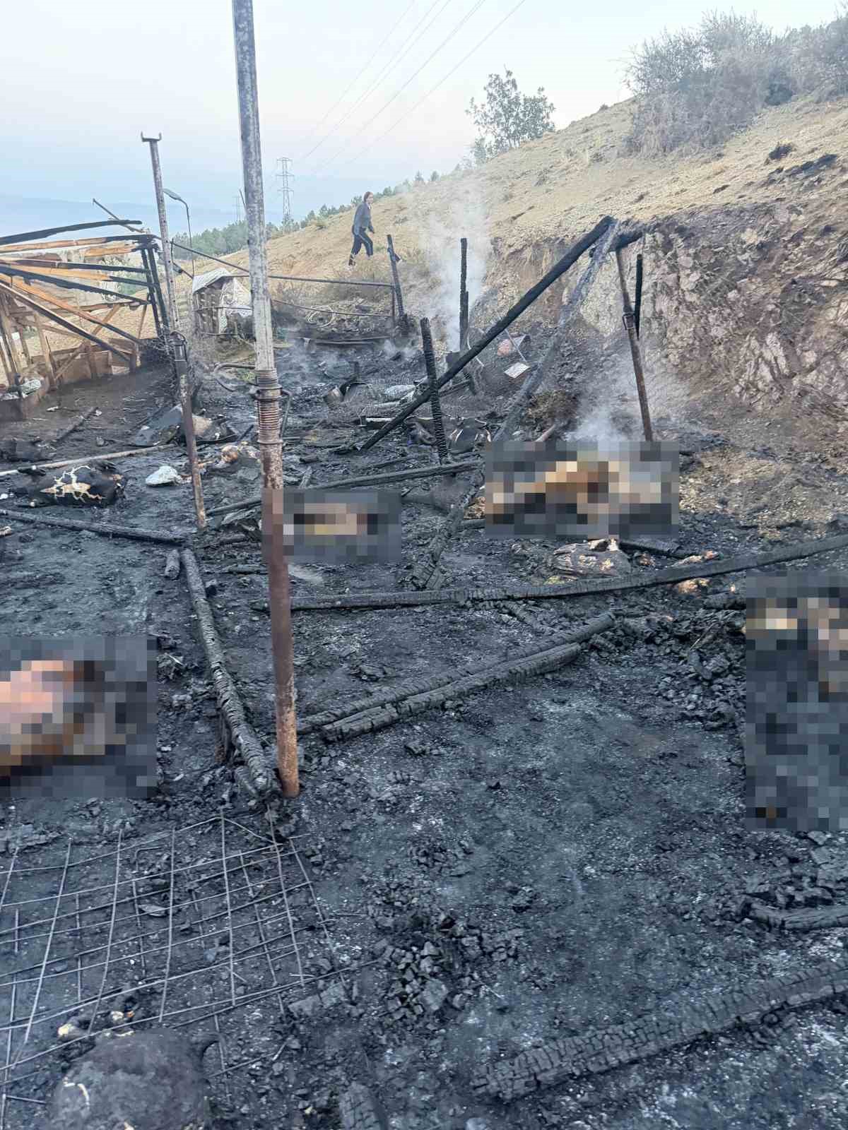 corumda-agil-yangini-onlarca-kucukbas-hayvan-telef-oldu