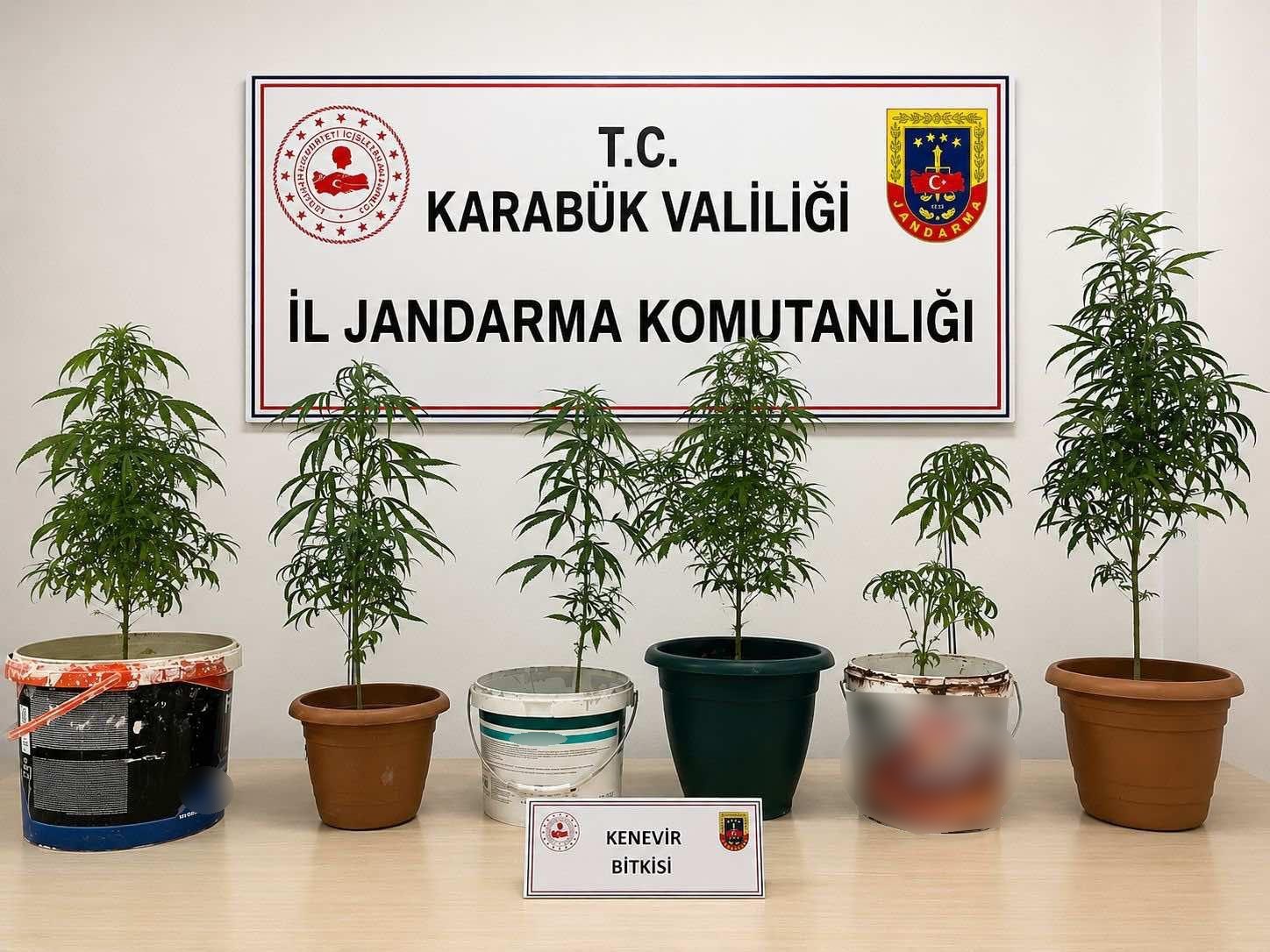 karabukte-uyusturucu-ve-kacak-tutun-operasyonu