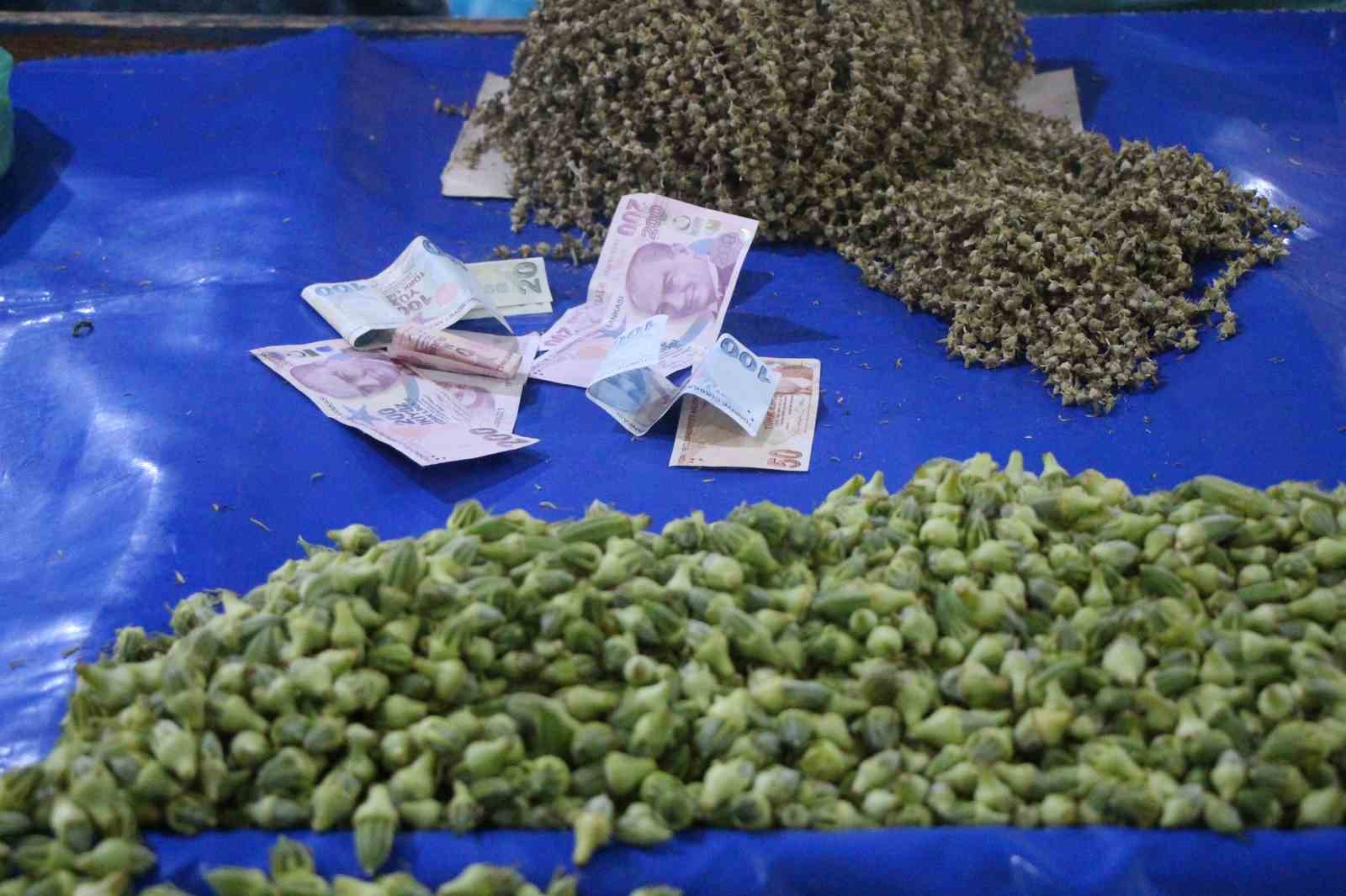 kuru-cicek-bamya-pazarda-gramla-satiliyor-hizirin-cebinden-dusen-bamya