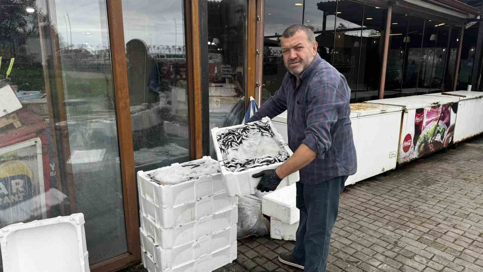 alaplida-hamsi-100-liradan-alici-buldu