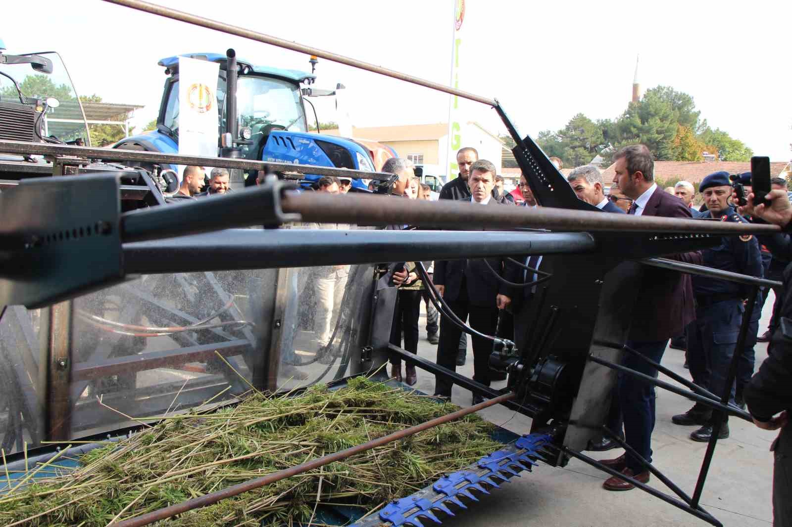 amasyada-kenevirde-hayal-kirikligi-kenevir-ekim-alani-6-bin-500-dekardan-850-dekara-dustu