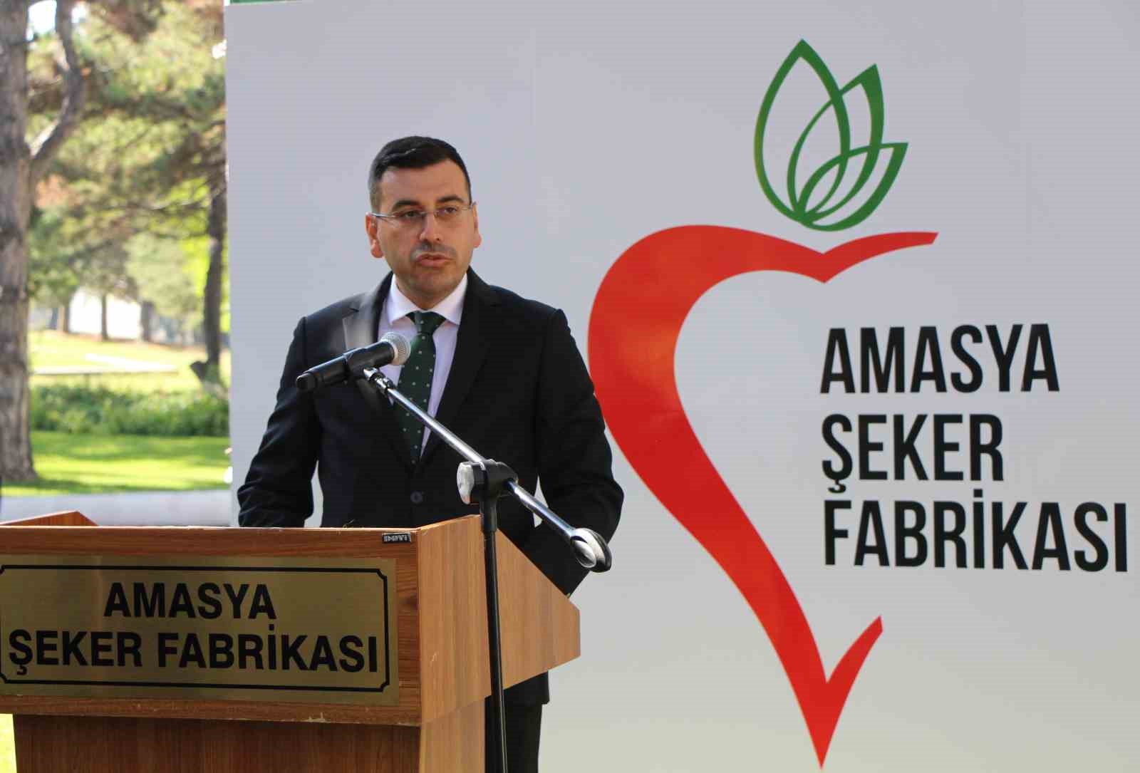 amasyada-zirai-don-ve-kuraklik-seker-pancarini-vurdu-10-bin-dekarlik-alanda-uretim-yapilamadi