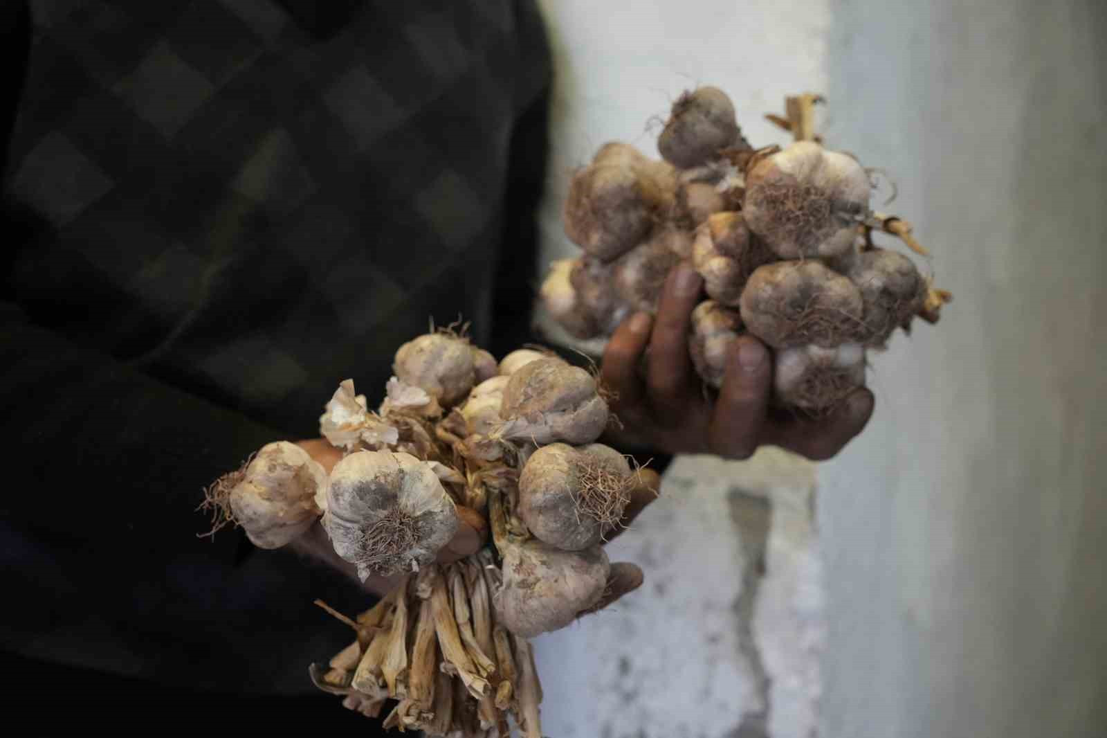 gumushanede-ata-tohumu-siyah-sarimsak-tescil-yolunda