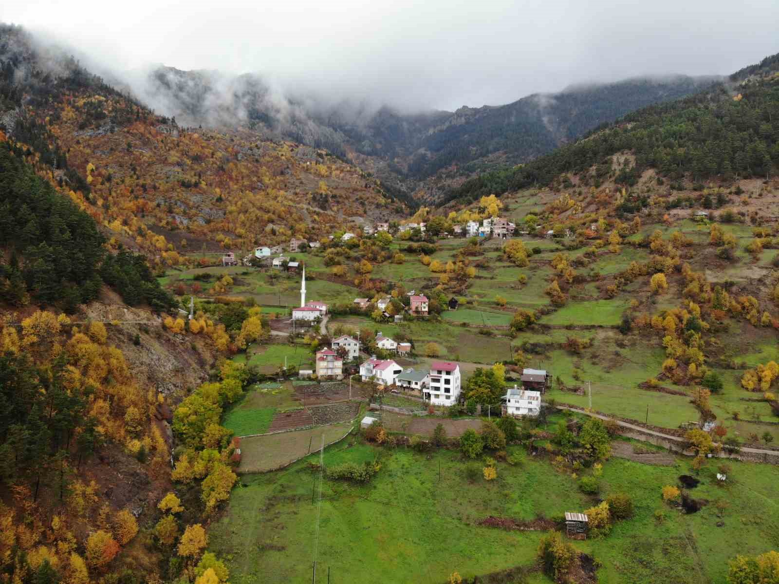 gumushanede-ata-tohumu-siyah-sarimsak-tescil-yolunda