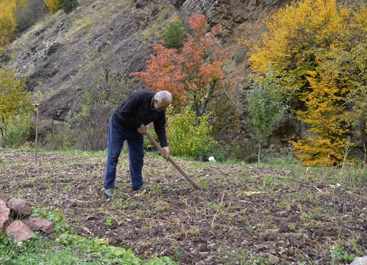 gumushanede-ata-tohumu-siyah-sarimsak-tescil-yolunda