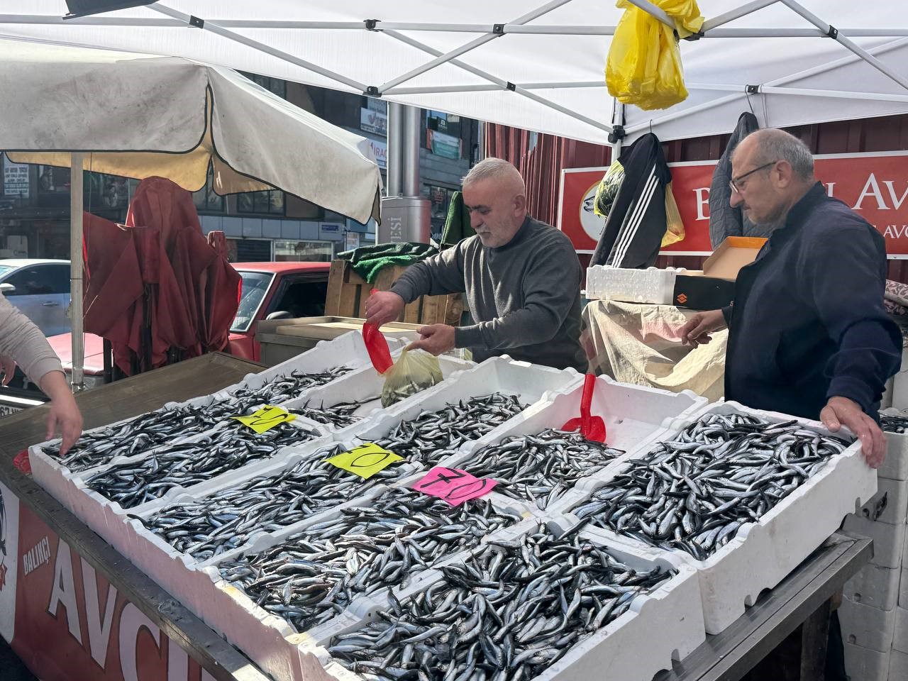 hamsinin-fiyati-70-liraya-indi-tezgahlar-senlendi