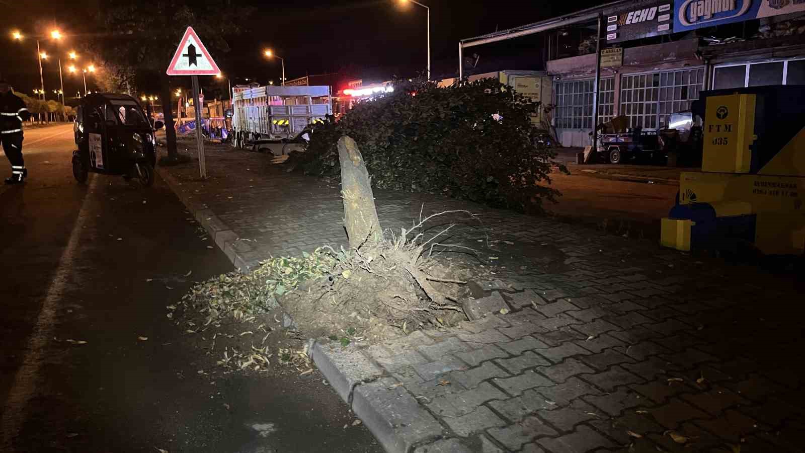 orduda-trafik-kazasi-3-yarali