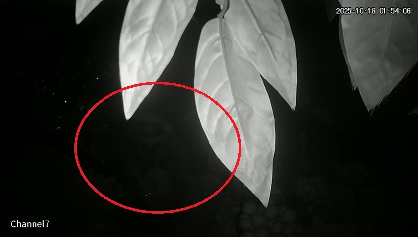 samsunda-2-haftadir-kayip-olan-genc-ilcede-panige-yol-acti-vatandaslar-tedirgin