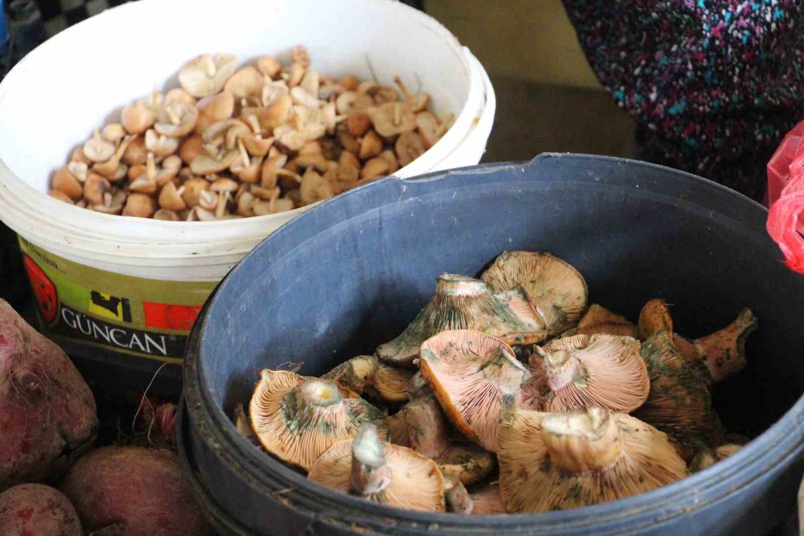 vatandas-ormandan-kova-kova-topladi-pazarda-kilosunu-400-liraya-satti