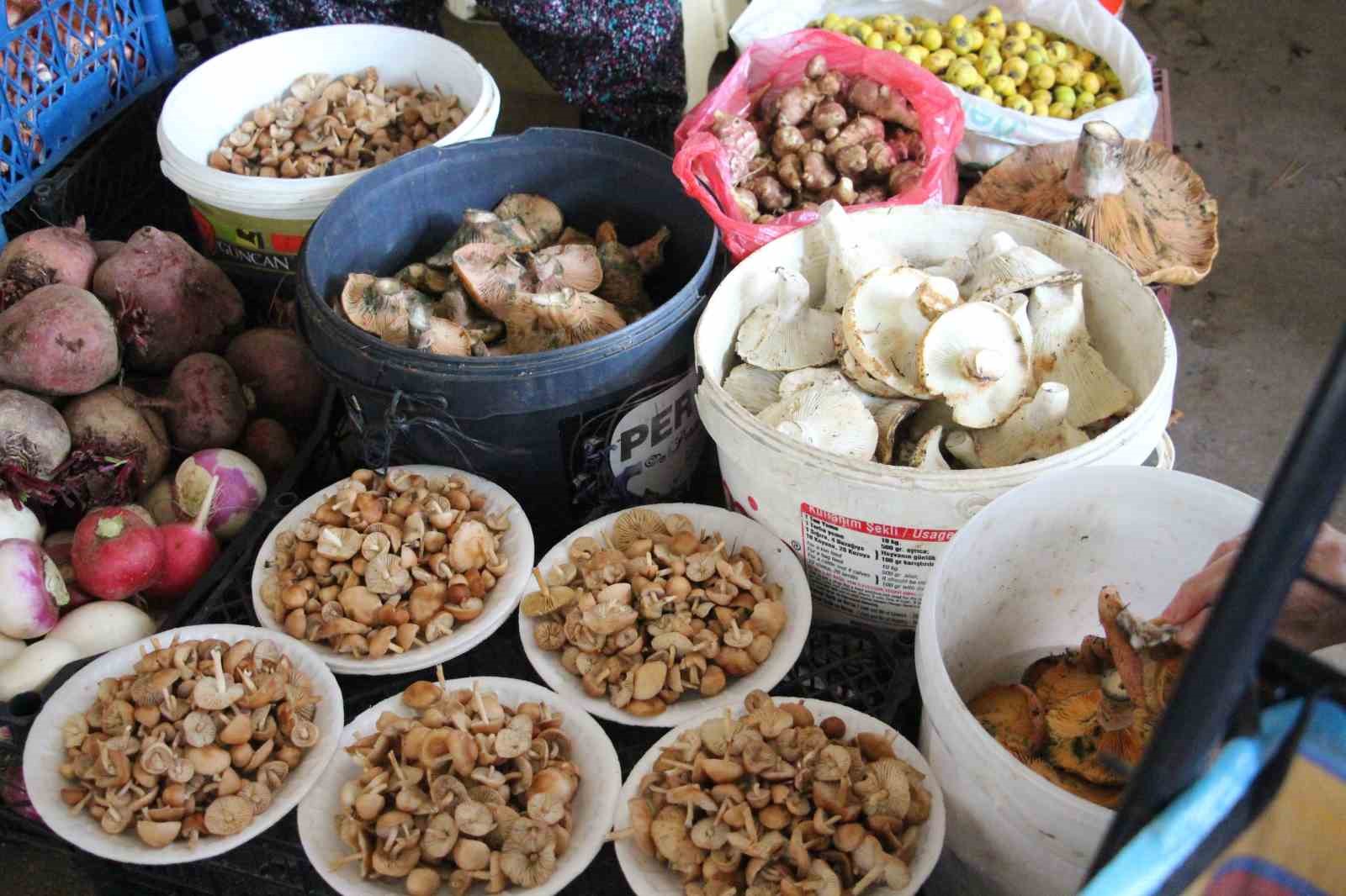 vatandas-ormandan-kova-kova-topladi-pazarda-kilosunu-400-liraya-satti