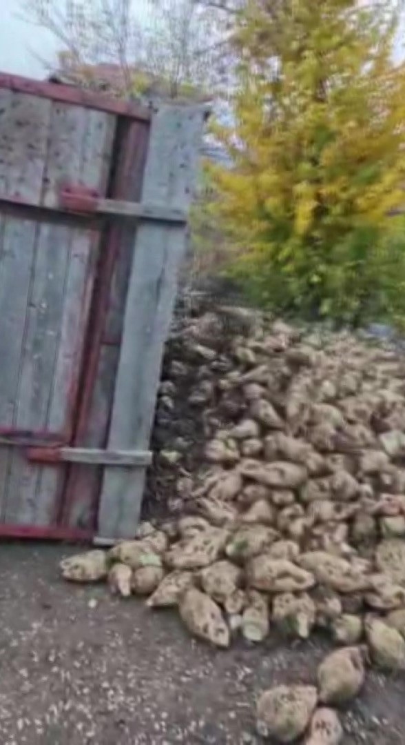 amasyada-pancar-yuklu-traktor-romorku-devrildi-kaza-ani-kamerada