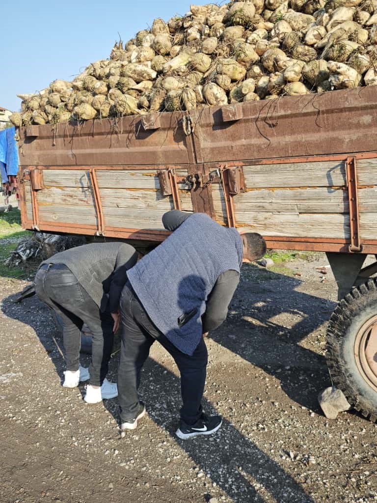 amasyada-pancar-yuklu-traktor-romorku-devrildi-kaza-ani-kamerada