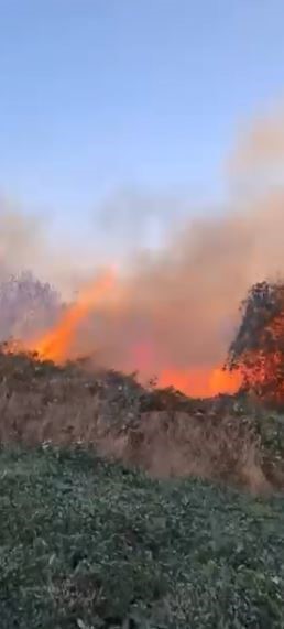 artvin-hopada-ziraat-alaninda-cikan-yangin-ormana-sicradi