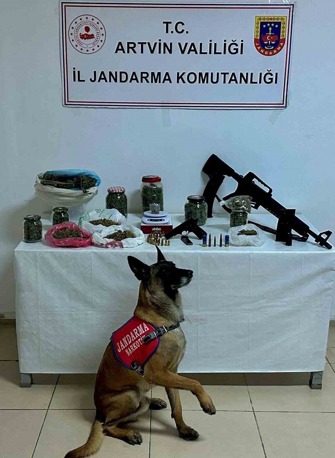 artvinde-uyusturucu-operasyonu