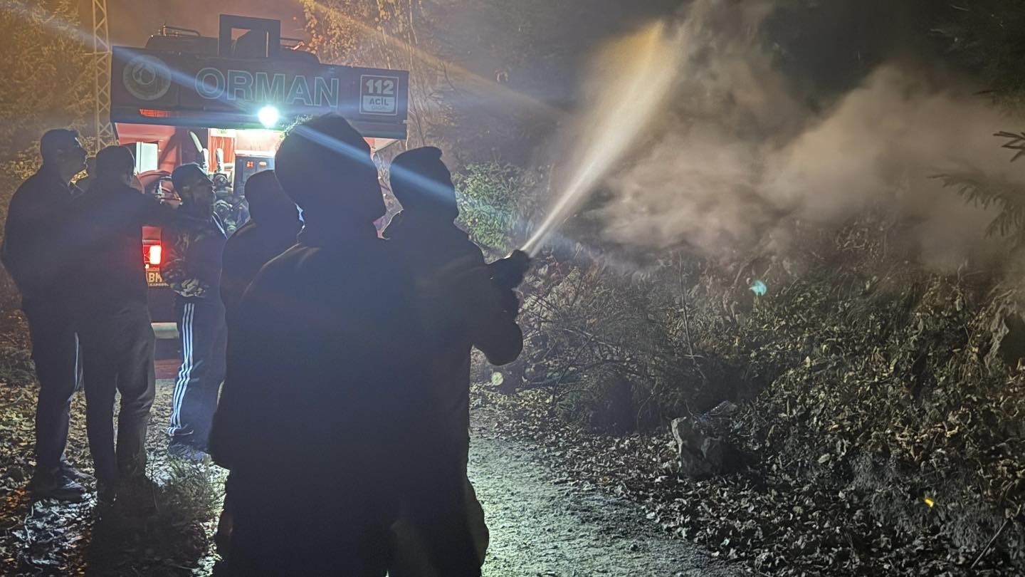 artvinde-zirai-alanda-cikan-yangin-kisa-surede-sonduruldu