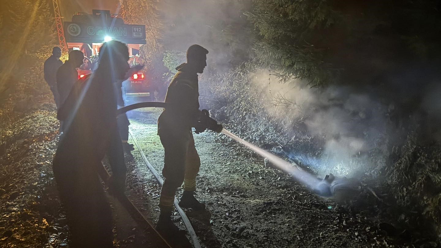 artvinde-zirai-alanda-cikan-yangin-kisa-surede-sonduruldu