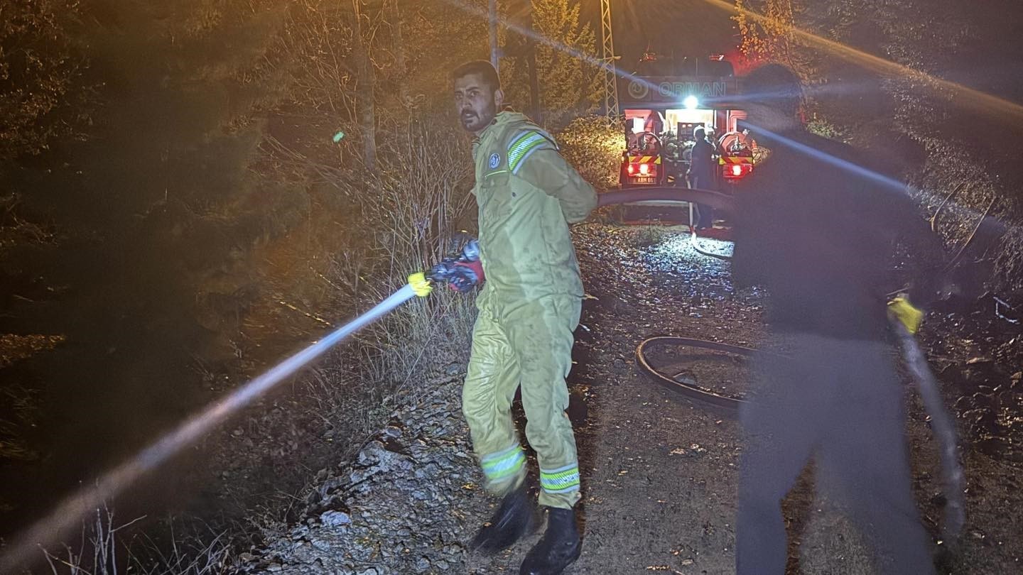 artvinde-zirai-alanda-cikan-yangin-kisa-surede-sonduruldu