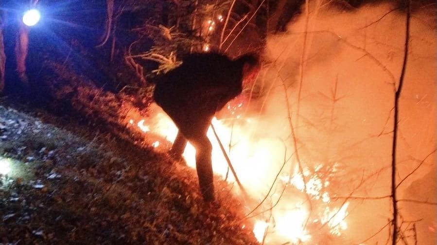 artvinde-zirai-alanda-cikan-yangin-kisa-surede-sonduruldu