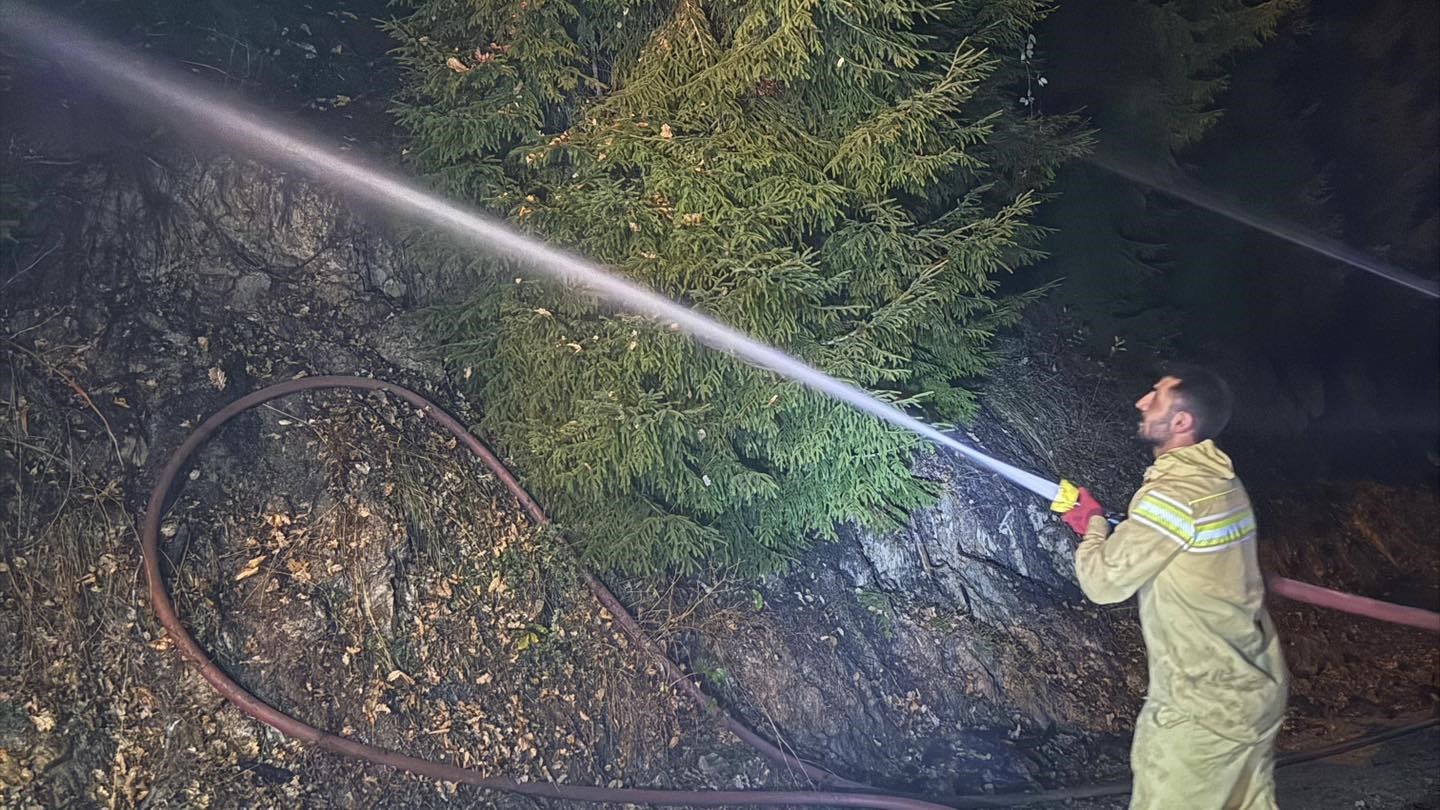 artvinde-zirai-alanda-cikan-yangin-kisa-surede-sonduruldu