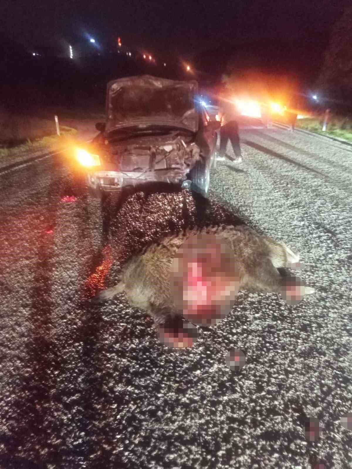 boluda-domuza-carpan-otomobil-hurdaya-dondu-1-yarali