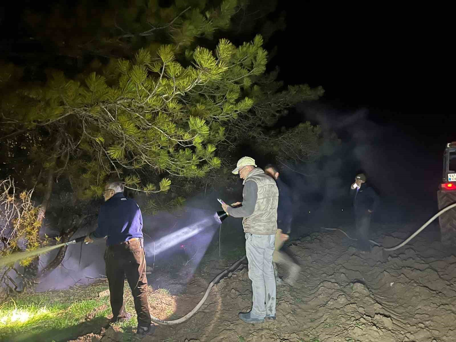 boluda-ormanlik-alanda-yangin