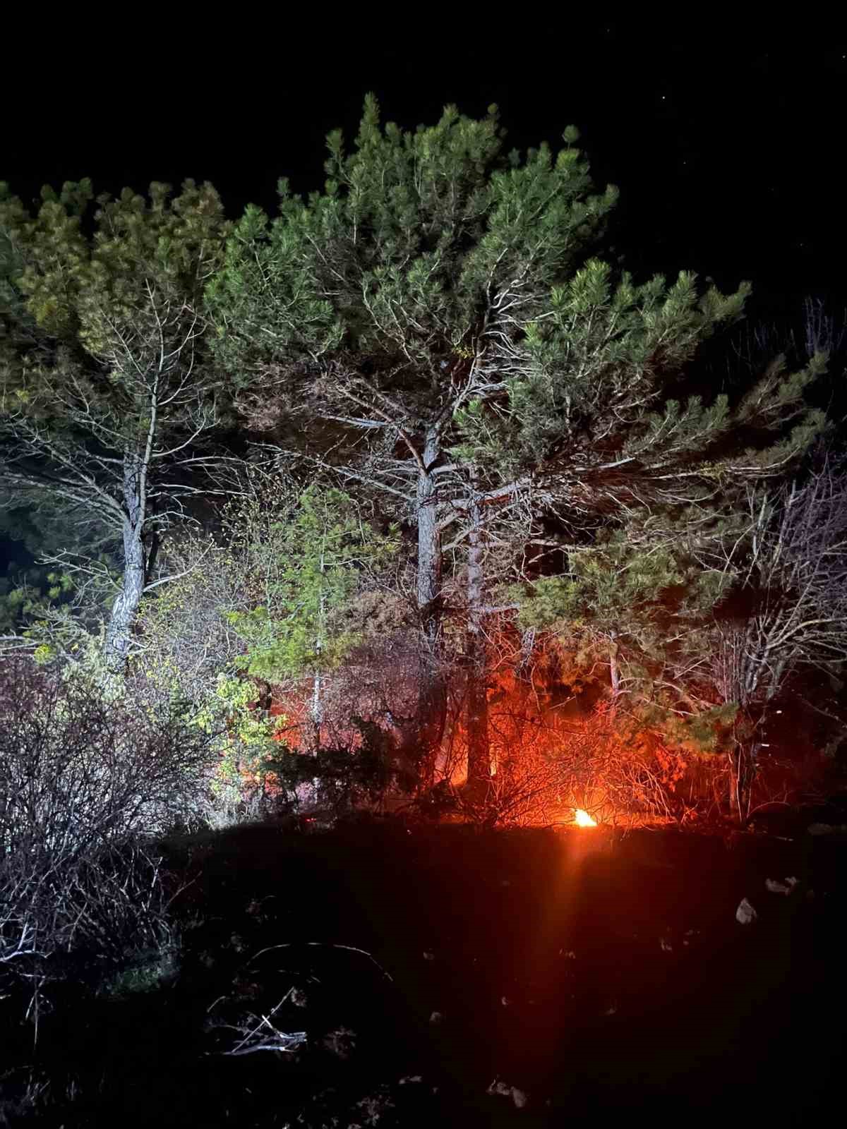 boluda-ormanlik-alanda-yangin