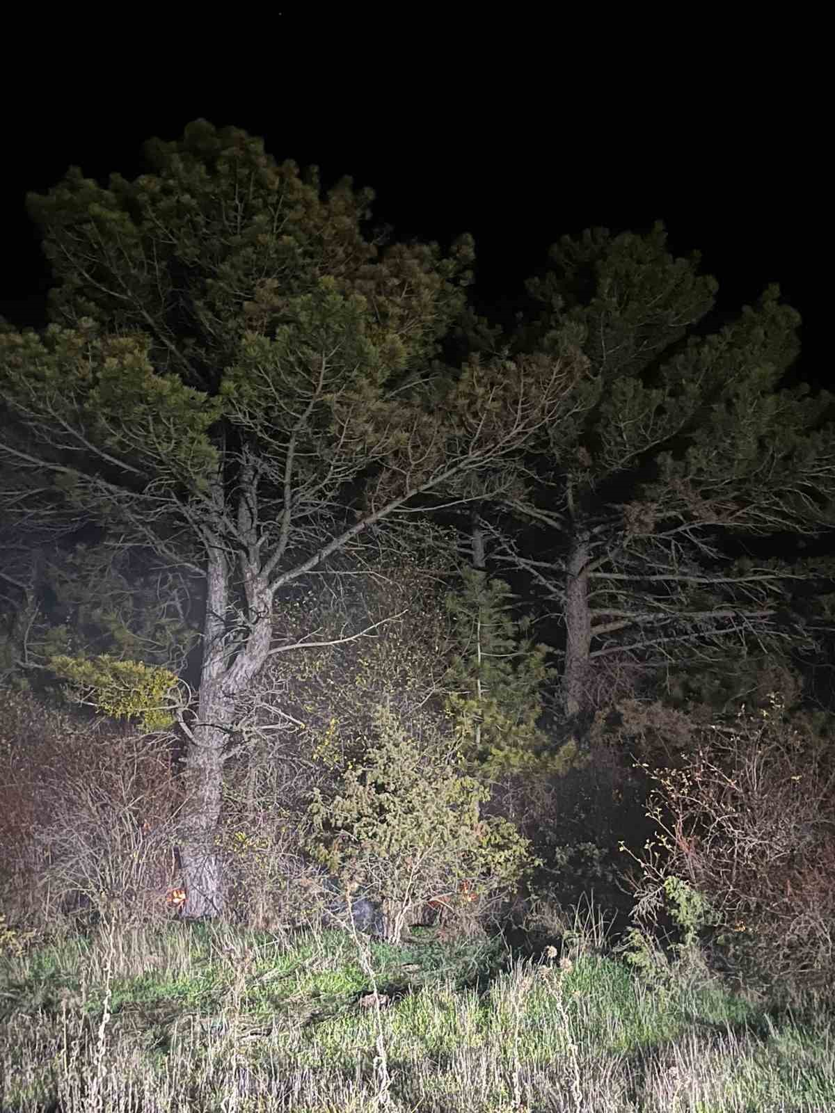 boluda-ormanlik-alanda-yangin