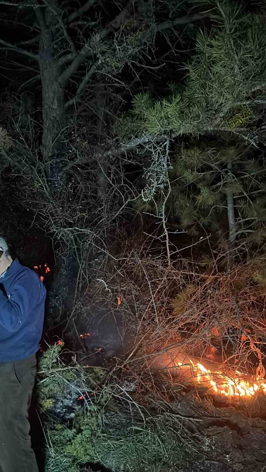 boluda-ormanlik-alanda-yangin