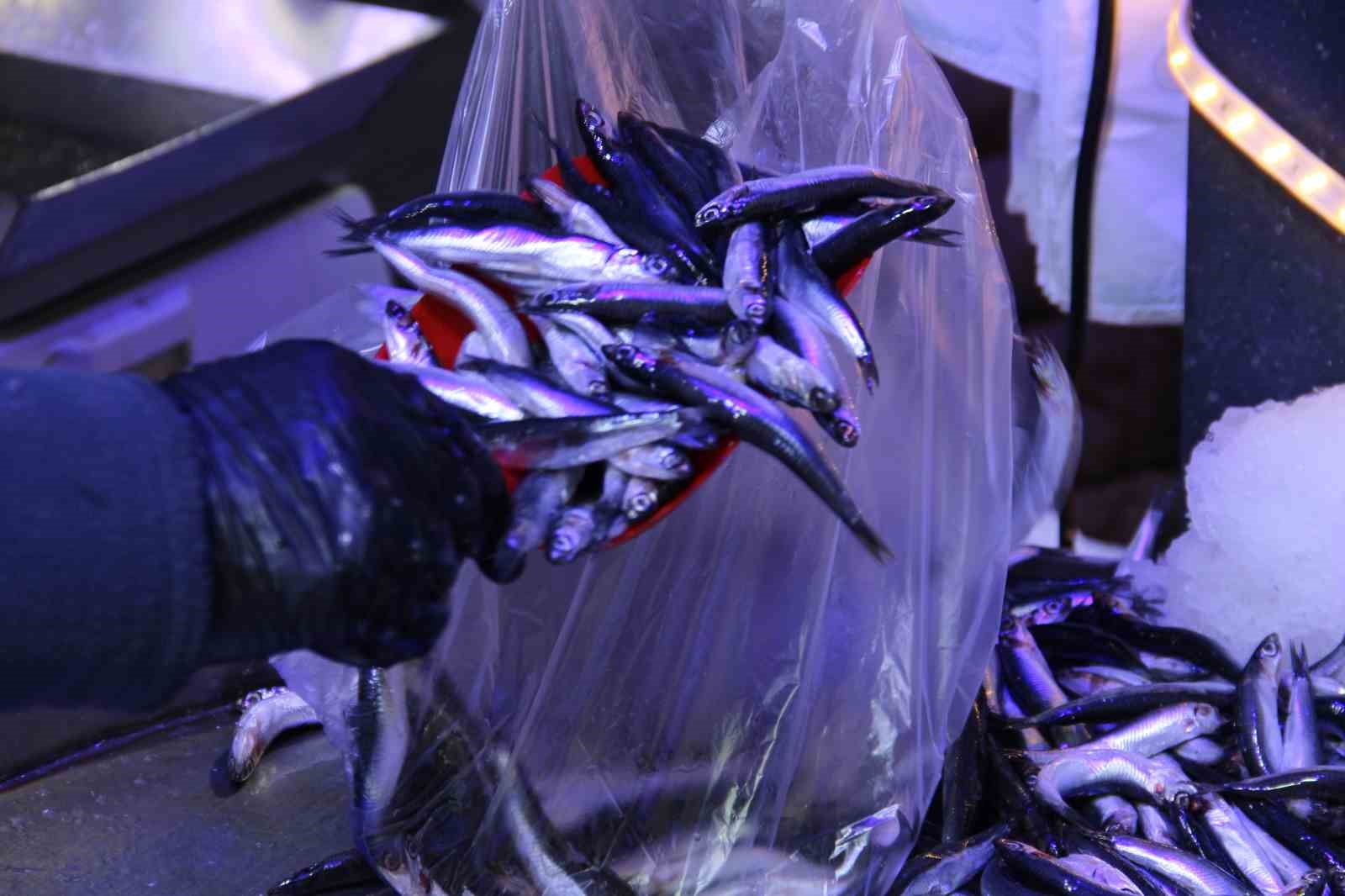 corumda-hamsinin-kilosu-40-liraya-dustu-metrelerce-uzunlukta-kuyruk-olustu