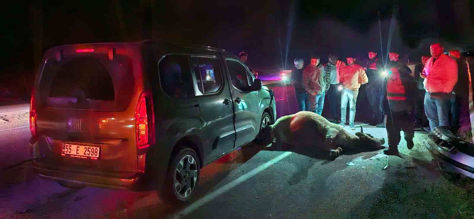 corumda-yola-cikan-dana-kazaya-neden-oldu-3-yarali