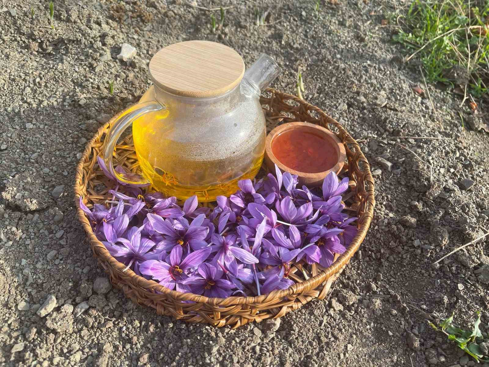 denemek-icin-ekti-250-metrekarelik-tarlasinda-dunyanin-en-pahali-baharatini-yetistirdi