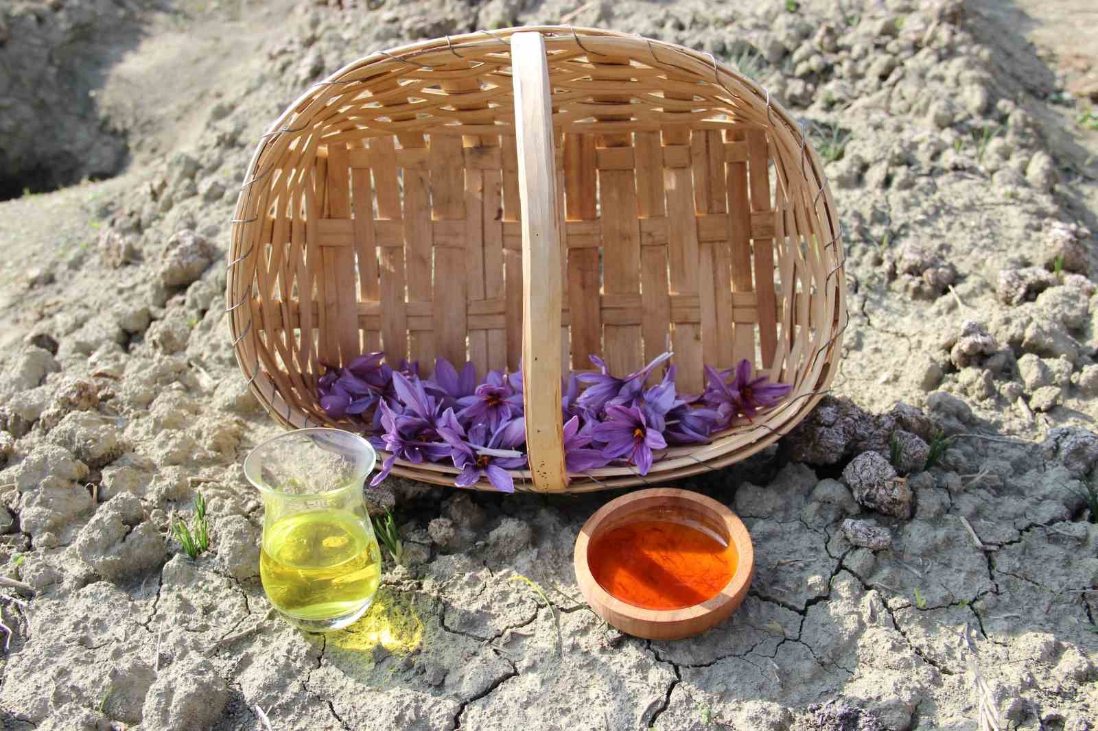 denemek-icin-ekti-250-metrekarelik-tarlasinda-dunyanin-en-pahali-baharatini-yetistirdi