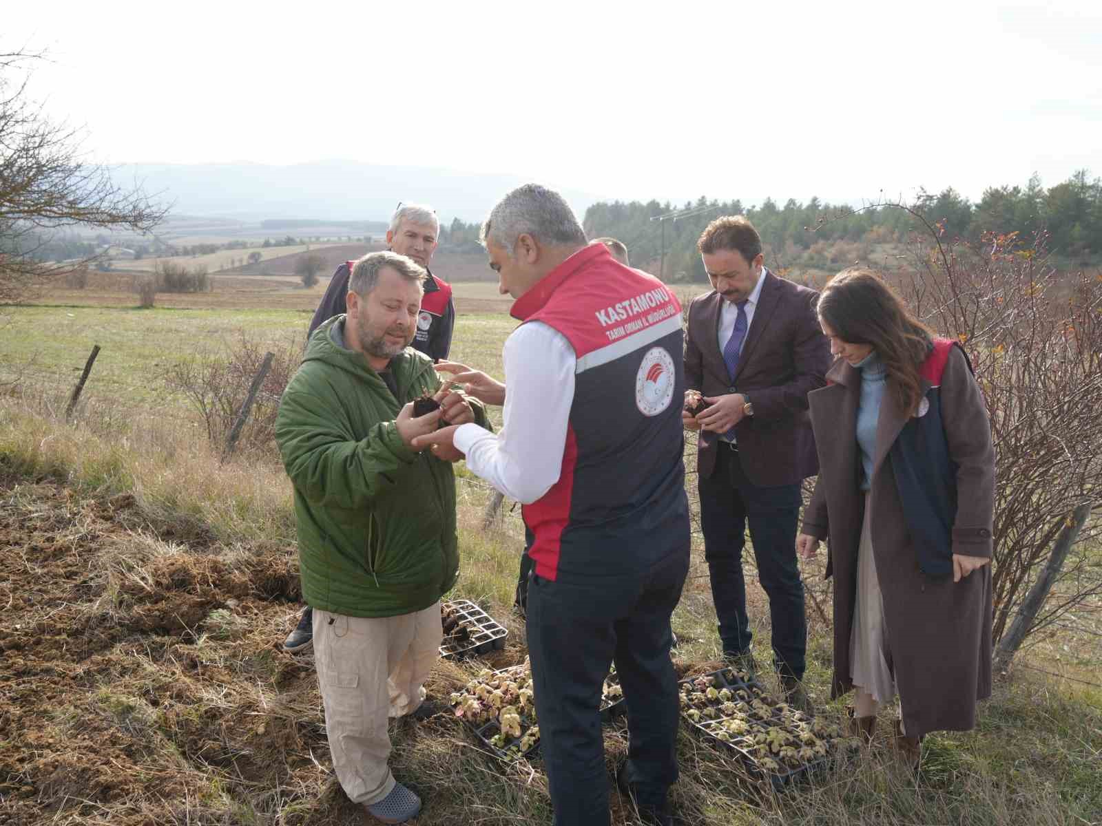 kastamonuda-kadinlara-guc-veren-proje-38-bin-fide-dagitimi-yapildi