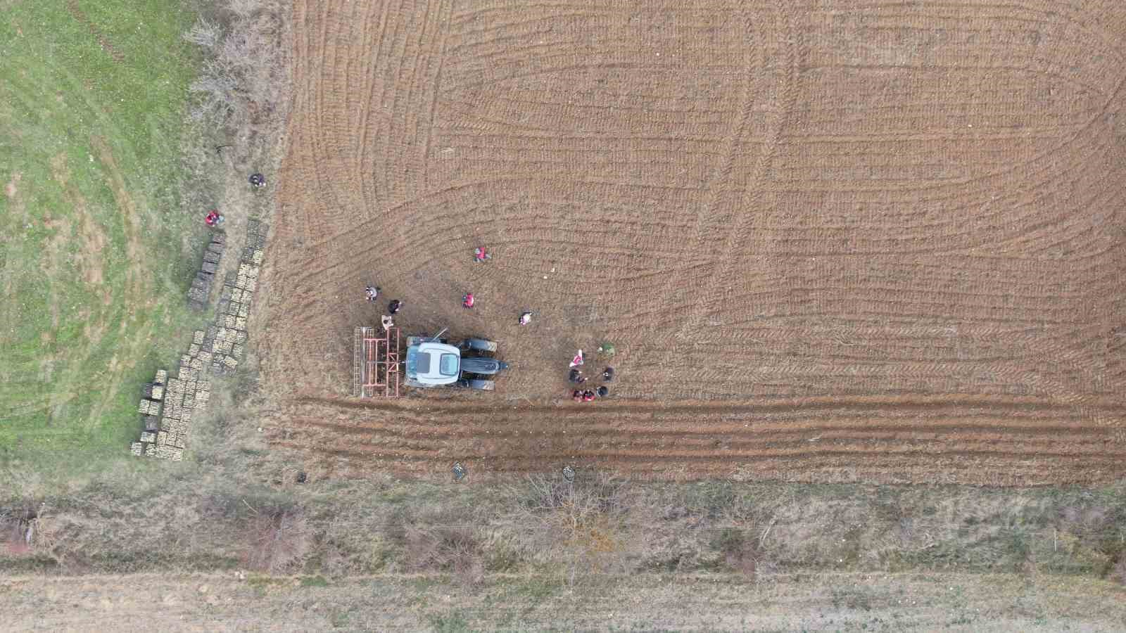 kastamonuda-kadinlara-guc-veren-proje-38-bin-fide-dagitimi-yapildi