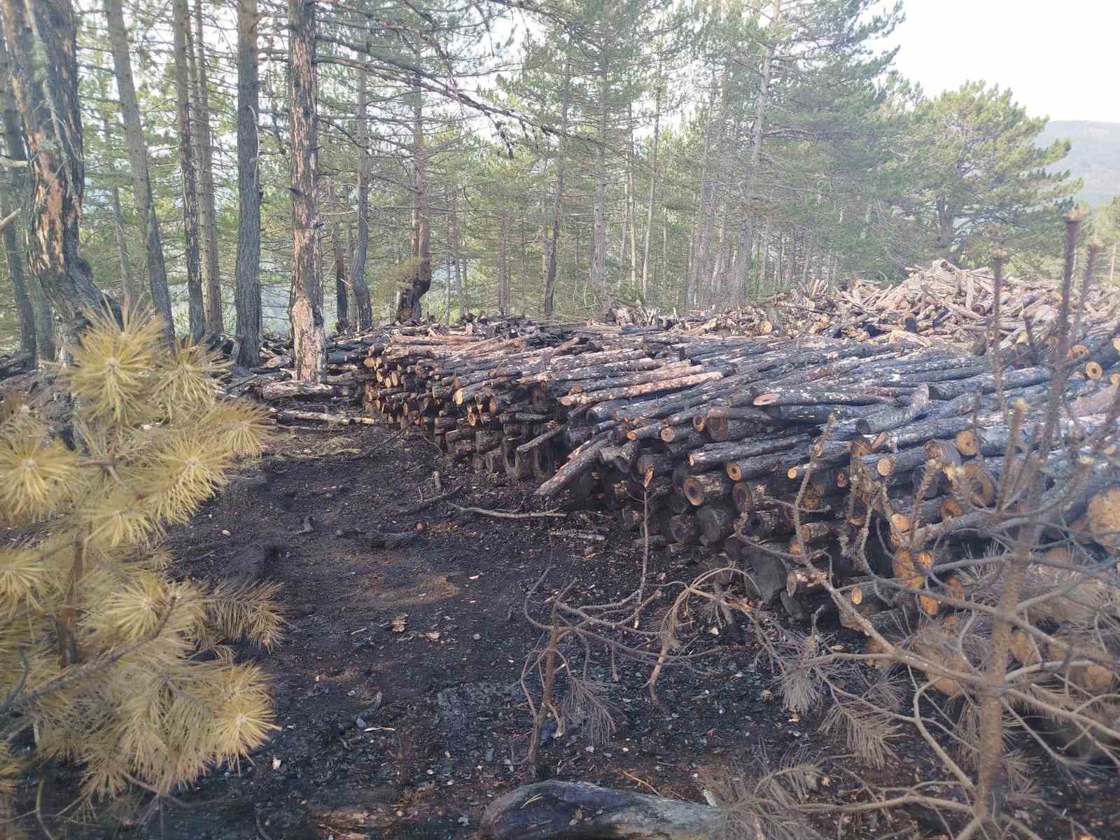 kesim-sahasinda-yangin-panigi-80-ster-cam-agaci-zarar-gordu