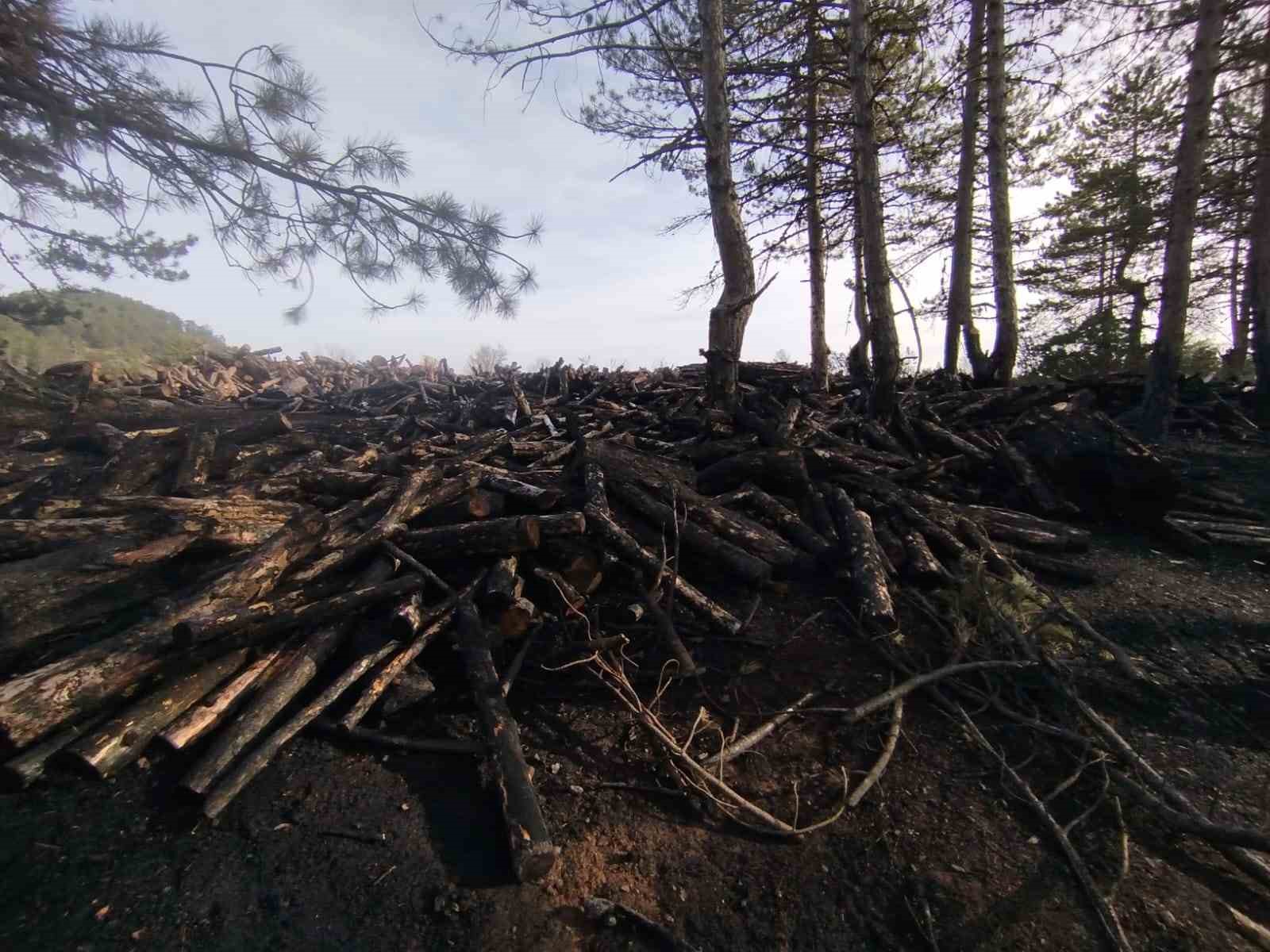 kesim-sahasinda-yangin-panigi-80-ster-cam-agaci-zarar-gordu