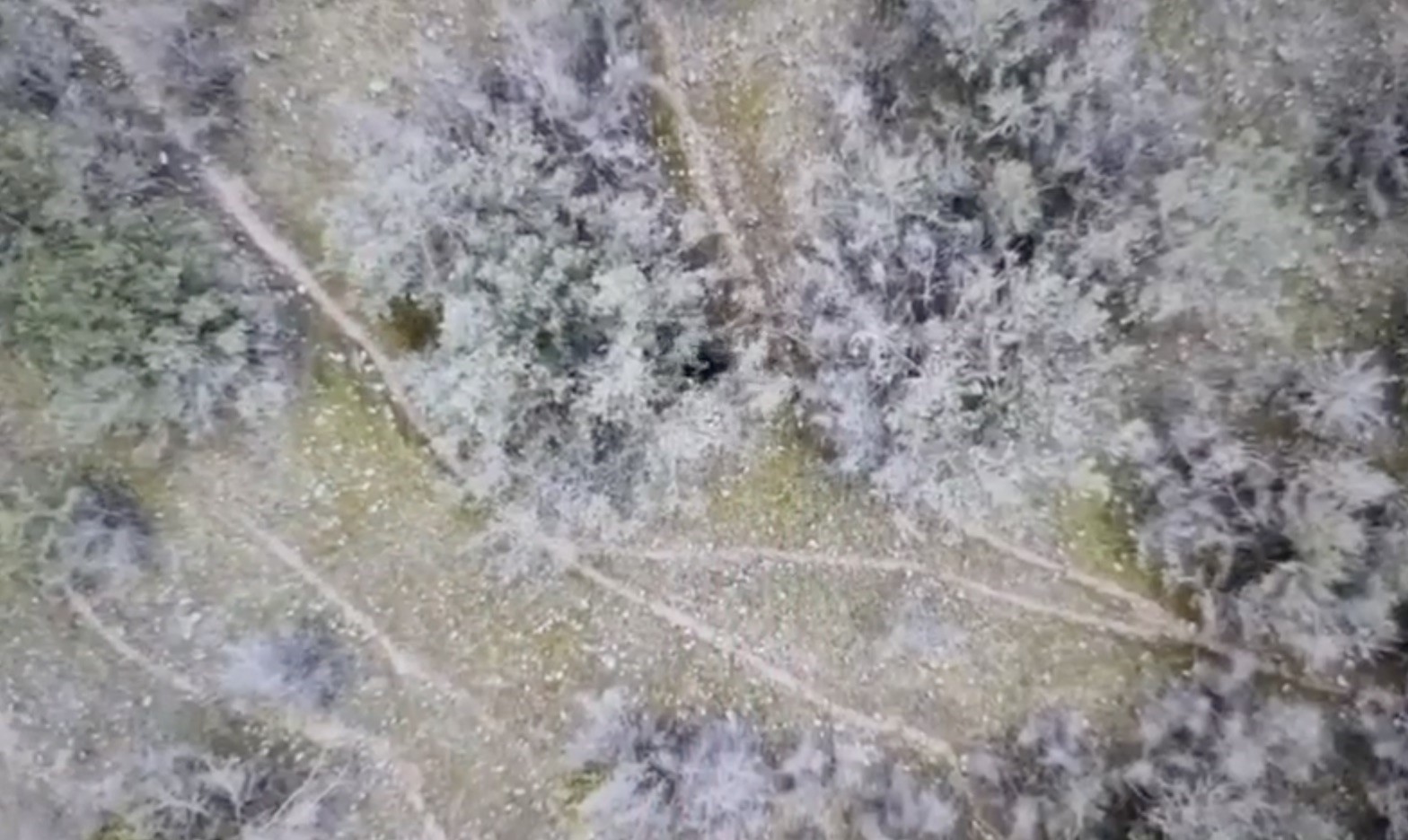 kizilirmak-nehrinde-elektrikle-avlanan-sahislar-yakayi-ele-verdi