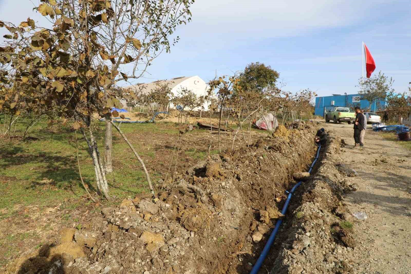 orduda-findik-bahcelerine-kuraklik-tehlikesine-karsi-damlama-sistemi