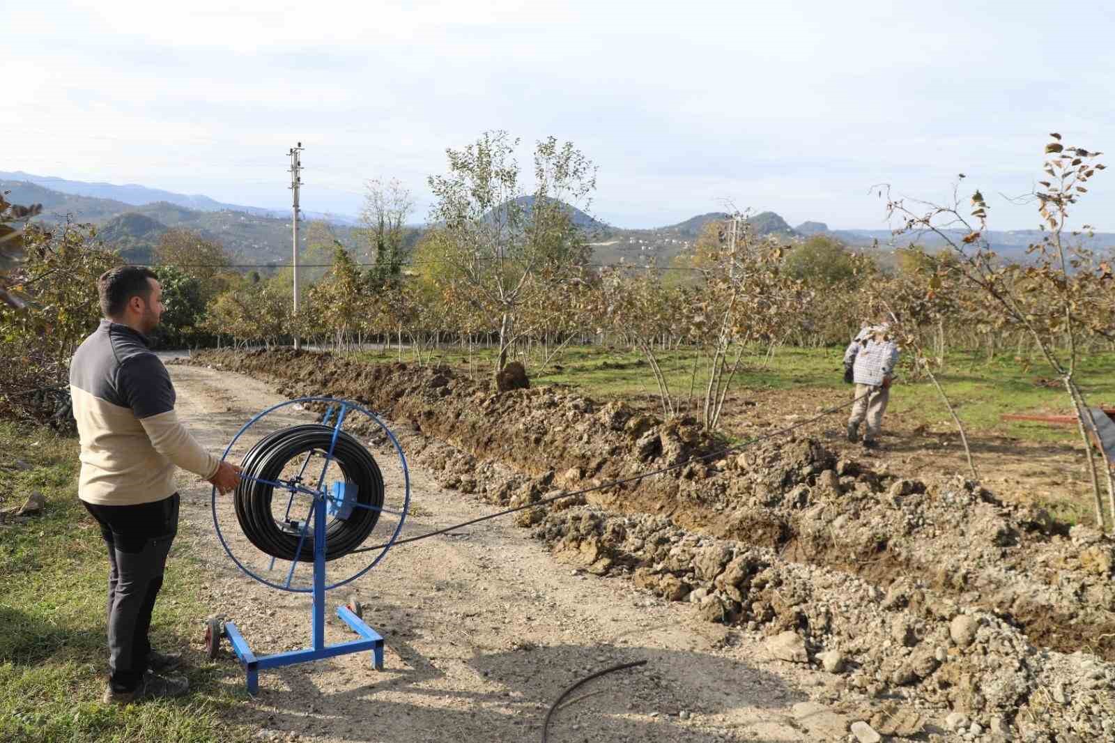 orduda-findik-bahcelerine-kuraklik-tehlikesine-karsi-damlama-sistemi